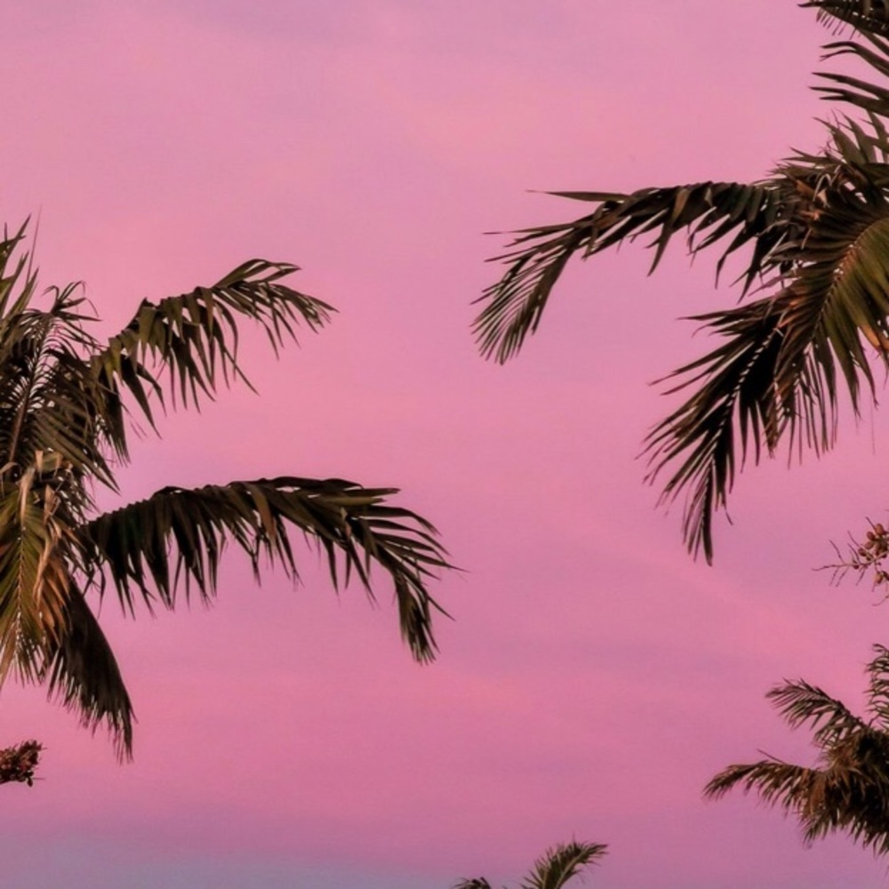 Meet your Posher, Celeste